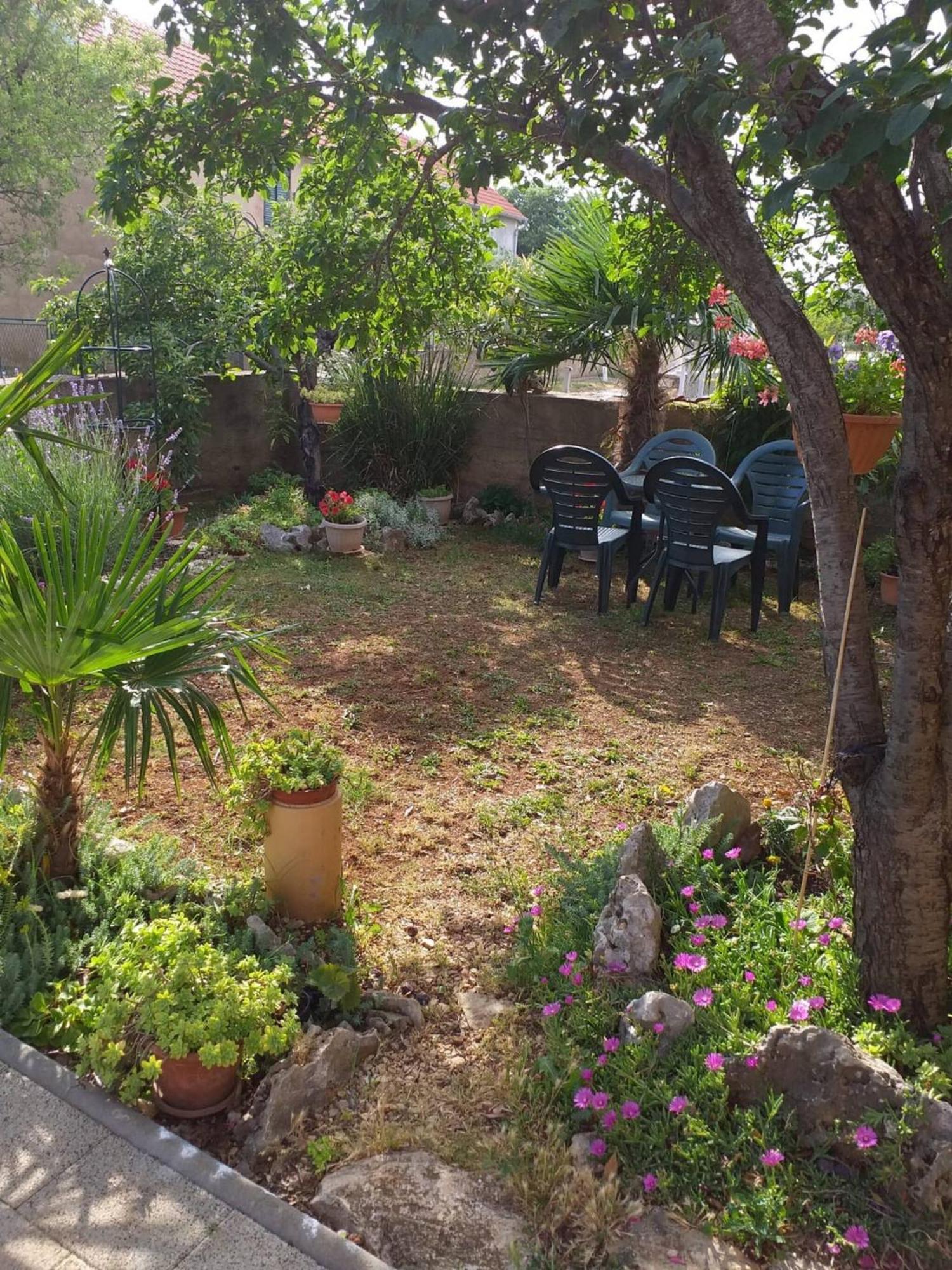Rural Apartment Ante Drniš Eksteriør billede